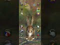 talking rabbit games play 1 3