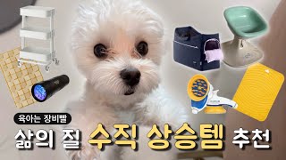 초보 반려인을 위한 강아지 용품 추천템 TOP 6!