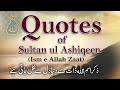 Quotes of Sultan ul Ashiqeen | Sufi Quotes In Urdu On Ism e Allah Zaat | Sufi Quotes in urdu/hindi