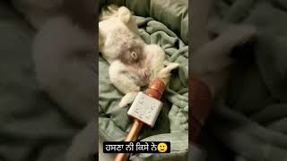 Dog Scared While Farting on Mic | ਕੁੱਤੇ ਨੇ ਮਾਰਿਆ ਪੱਦ 😂😂