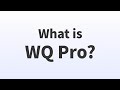 WQ Pro for After Effects