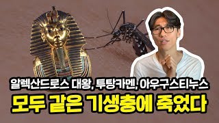 30초마다 1명의 생명을 빼앗는 기생충