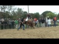 just rodeo 2010.mpg