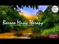 35 minutes instrumental sape music borneo island traditional instrumen relaxing music borneo