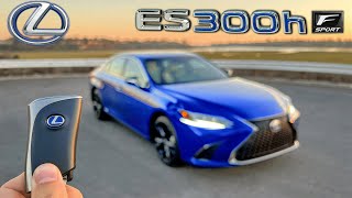 The 2022 Lexus ES 300h F Sport is Affordable, Efficient Luxury (In-Depth Review)