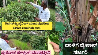 ನಿಮ್ಮ ಮನೆಗೆ ಕಡಿಮೆ ಜಾಗದಲ್ಲಿ ಸೊಪ್ಪು ತರಕಾರಿ ಕಾಳುಗಳನ್ನು ಯಾವುದೇ ವಿಷ ಹಾಕದೆ ಆರೋಗ್ಯವಾಗಿ ಆರೋಗ್ಯಕ್ಕಾಗಿ  ಬೆಳೆದು