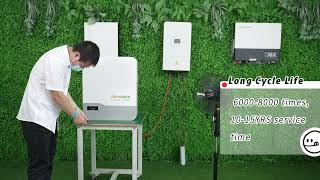 DEYE Inverter and Genixgreen home battery backup system Compatible Connections