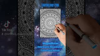 A full page Mandala from Magnificent Intricate Mandalas Adult Coloring Book