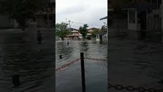 Banjir Rob semarang#semarang#banjir#shorts#short#semarangterkini#viral#banjirsemarang#viralvideo