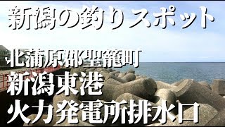 新潟 釣りスポット〈新潟東港 火力発電所排水口〉真冬でもチヌが釣れる黒鯛釣り師に大人気の釣り場です！