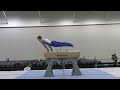 sasha bogonosiuk pommel horse 2025 winter cup men day 2