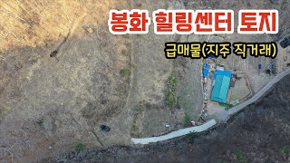 [경북 봉화 소천면 두음리 힐링센터용 토지 매매] 낙동강 상류 청정지역 토지 급매물 지주 직거래