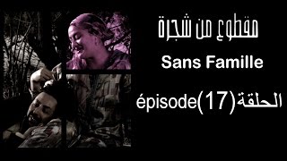 MA9TOU3 MEN CHAJARA  (SANS FAMILLE)  Épisode -مقطوع من شجرة الحلقة -17