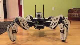 ROS Hexapod Robot called \