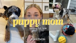 Raising a PUPPY while working full time! VLOGMAS Day 7