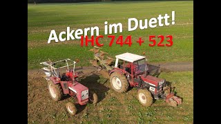 #51 Ackern im Duett | IHC Power 💪 vor dem Pflug | 5 Schare im Einsatz! | #OIM