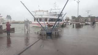 Hochwasser Kappeln 20.10.2023 nachmittags Teil 1