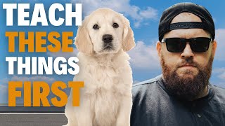 The First 3 Things You Must Teach Your Dog