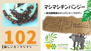 【東山動植物園公式】マシマシチンパンジー『第102回新しいモノシリーズ～どんぐり～』