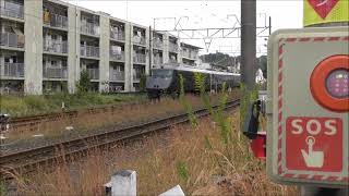 JR九州　787系 特急きりしま8号 鹿児島中央駅～宮崎駅）6008M　817系V104（ 都城駅～鹿児島中央駅）6937M　黒田踏切