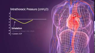 ResQGARD - Intrathoracic Pressure Regulation