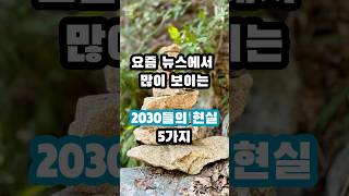 요즘 2030들의 현실 5가지 #성공#이슈