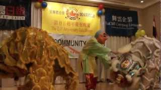 Toronto Lion dance @ Sing Fai 25 Anniversary