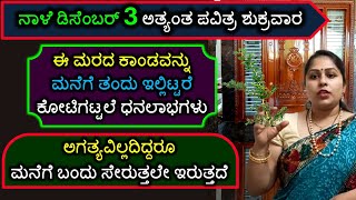 ನಾಳೆ ಡಿಸೆಂಬರ್ 3 ಅತ್ಯಂತ ಪವಿತ್ರ ಶುಕ್ರವಾರ ಈ ಮರದ ಕಾಂಡವನ್ನು ಮನೆಗೆ ತಂದು ಇಲ್ಲಿಟ್ಟರೆ ಕೋಟಿಗಟ್ಟಲೆ ಧನಲಾಭ