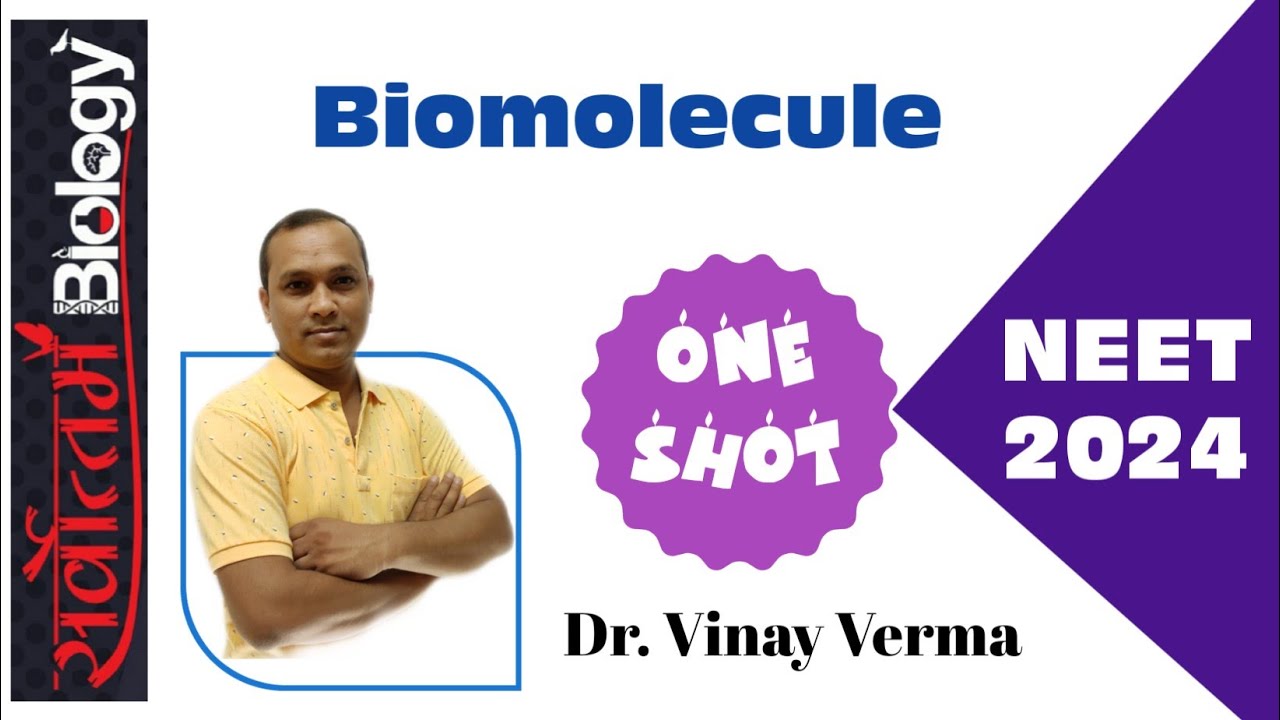 Revision Biomolecule Youtube