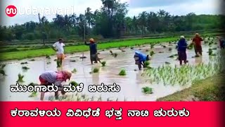 ಮುಂಗಾರು ಮಳೆ ಬಿರುಸು: ಕರಾವಳಿಯ ವಿವಿಧೆಡೆ ಭತ್ತ ನಾಟಿ ಚುರುಕು | Udayavani