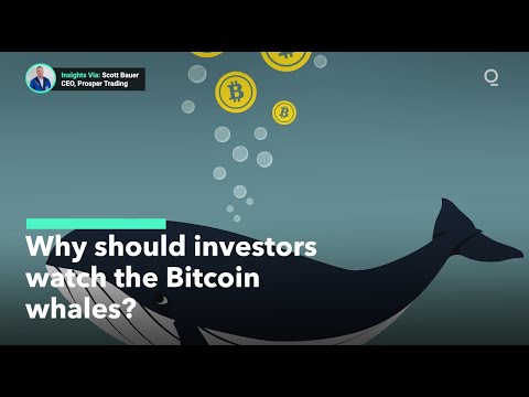 What Is A Bitcoin "Whales" And Why Investors Should Watch Them? - YouTube