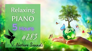 ヒーリング フォレスト♫～癒しの森、リラックスＢＧＭ |  Healing Forest - Relaxing Piano Music with Nature sounds