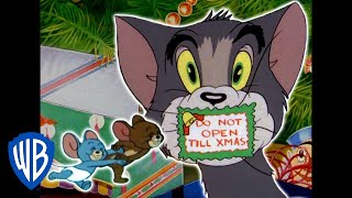 Tom y Jerry en Español | Navidad en casa | WB Kids