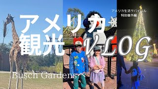 【アメリカ観光Vlog】New Year シーズンのBusch Gardensへ