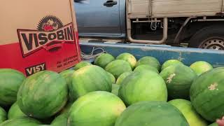 Tropical Mackay Queensland Farmers Market