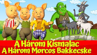 A Három Kismalac 🔴🐷🐺 I Aranyfürtöcske 🐻 I A Három Bakkecske🐐 🧌I Nati Mesék I Magyar Tündérmesék