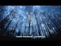 Cosmic Gateways I - Interstellar (Ambient / Psychill / Psybient / Meditation Mix)