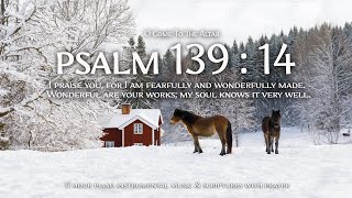 O COME TO THE ALTAR | Psalm 139:14 | Winter Nature \u0026 Piano Worship ❄ Christian Instrumental