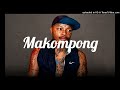 Shebeshxt x naqua x PLG chanty x Makhadzi lekompo Type Beat | New lekompo music 2026  @Hoaker beats