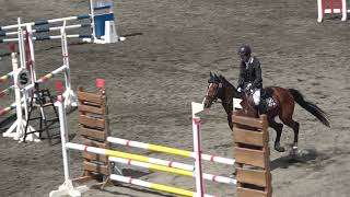 第56回東都学生馬術大会　新人障害飛越競技　1年　平山　直人　桜閃