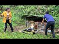 Finally caught the snake that attacked my duck and Living with Nature | Linh's life