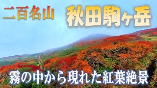 秋田駒ヶ岳（焼森・横岳）　霧の中から現れた紅葉絶景(2024.10.6)　#秋田駒ヶ岳 #紅葉登山 #二百名山