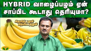 Do you know why hybrid banana should not be eaten? | Therinthathum Theriyathathum | Jaya Tv