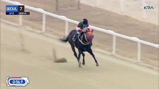 (Seoul) 2023.02.12 R7 Class 5 (1200M) Handicap