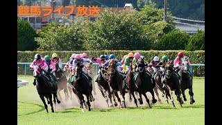 【中央競馬実況(G3 中山金杯＆京都金杯の予想)】(年末年始 連続実況)