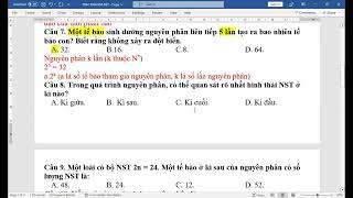 Trắc nghiệm kiến thức cơ bản - Chuyên đề 2 Nhiễm sắc thể