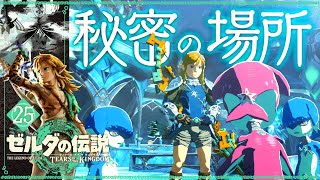 【ティアーズ オブ ザ キングダム】ジオフロントです、清流の御所。 #25