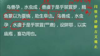 【闫效平讲解古文观止】第40集：里革断罟匡君 标清