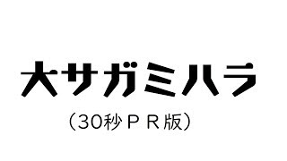 大サガミハラ（３０秒ＰＲ版）