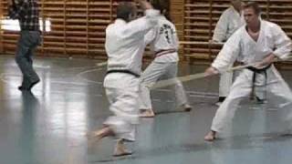 Ryu Kyu Kobujutsu / Kobudo - Fighting with BO.